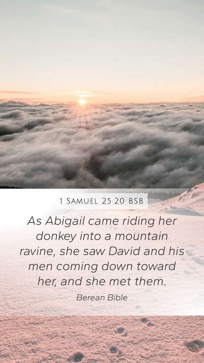1 Samuel 25:20 BSB Mobile Phone Wallpaper - As Abigail came riding her donkey into a mountain - Mobile Bible Verse Wallpaper