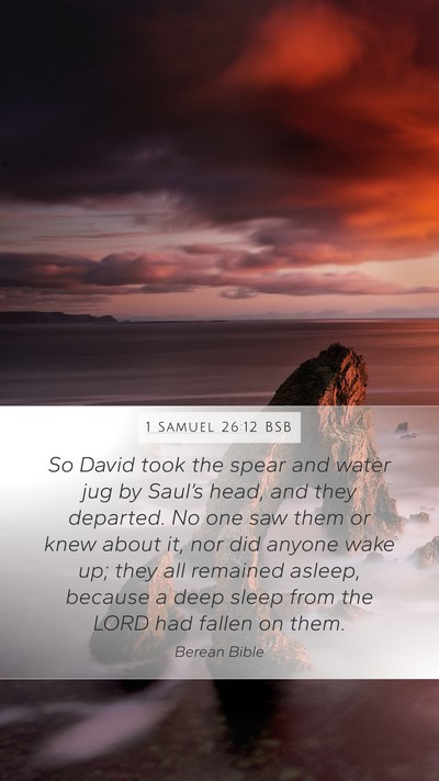 1 Samuel 26:12 BSB Bible Verse Image