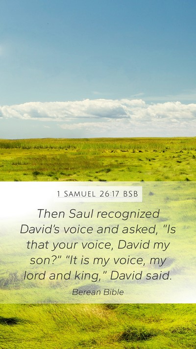 1 Samuel 26:17 BSB Bible Verse Image