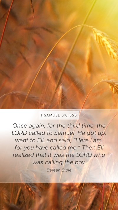 1 Samuel 3:8 BSB Bible Verse Image
