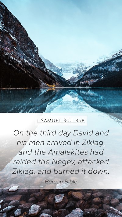 1 Samuel 30:1 BSB Bible Verse Image