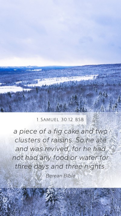 1 Samuel 30:12 BSB Bible Verse Image