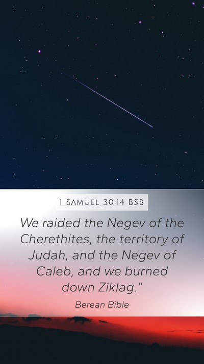 1 Samuel 30:14 BSB Bible Verse Image