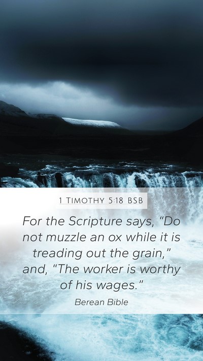 1 Timothy 5:18 BSB Bible Verse Image