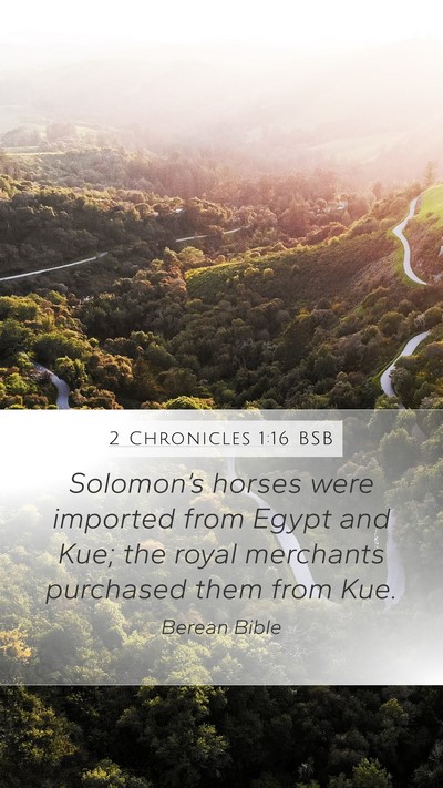 2 Chronicles 1:16 BSB Mobile Phone Wallpaper - Solomon’s horses were imported from Egypt and - Mobile Bible Verse Wallpaper