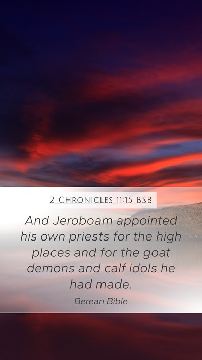2 Chronicles 11:15 BSB Bible Verse Image
