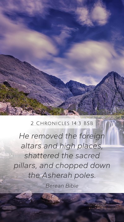 2 Chronicles 14:3 BSB Bible Verse Image