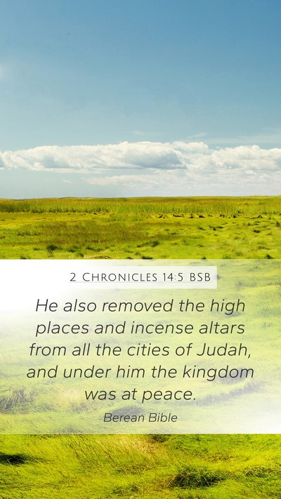 2 Chronicles 14:5 BSB Bible Verse Image
