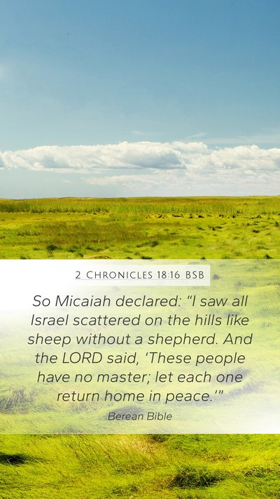 2 Chronicles 18:16 BSB Bible Verse Image