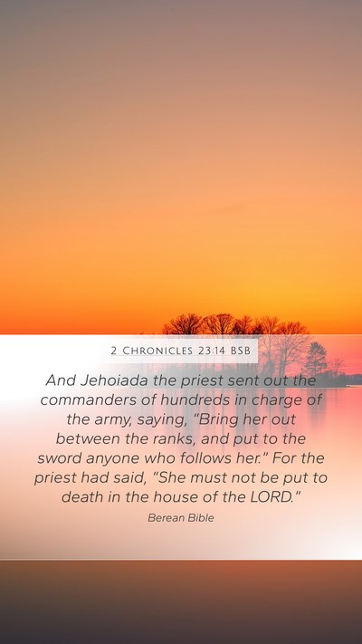 2 Chronicles 23:14 BSB Bible Verse Image