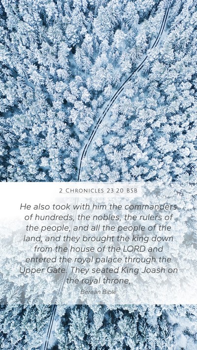2 Chronicles 23:20 BSB Bible Verse Image
