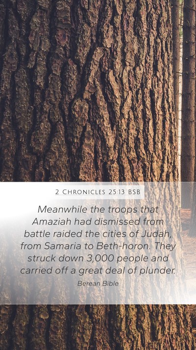 2 Chronicles 25:13 BSB Bible Verse Image