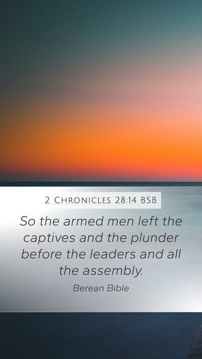 2 Chronicles 28:14 BSB Bible Verse Image