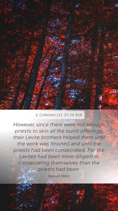 2 Chronicles 29:34 BSB Bible Verse Image