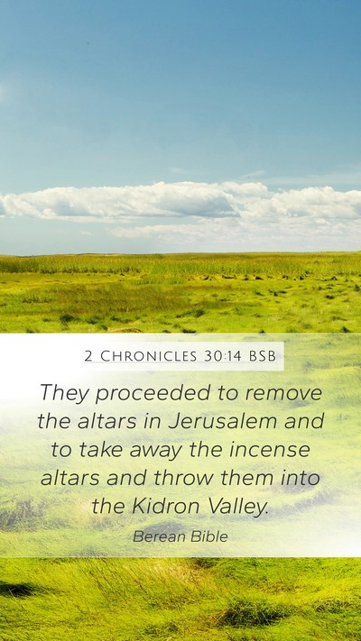 2 Chronicles 30:14 BSB Bible Verse Image