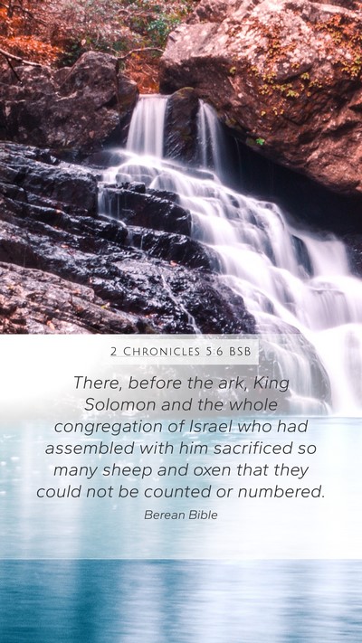 2 Chronicles 5:6 BSB Bible Verse Image