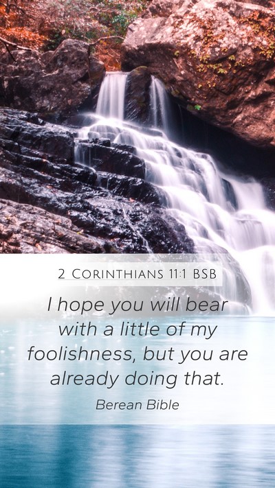 2 Corinthians 11:1 BSB Bible Verse Image