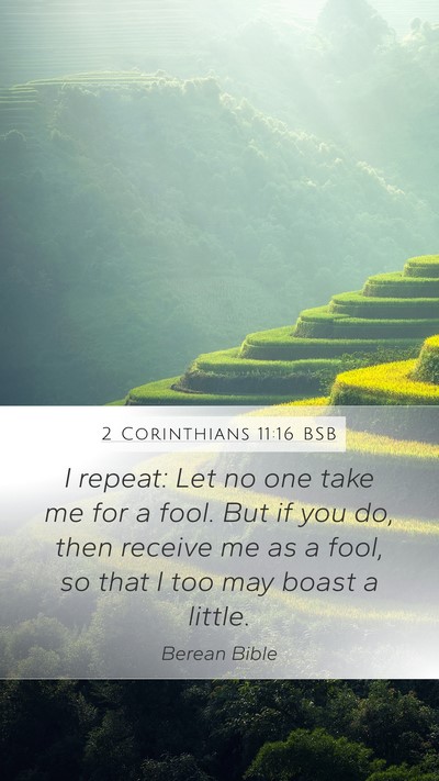 2 Corinthians 11:16 BSB Bible Verse Image