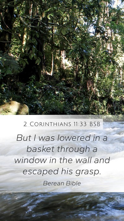 2 Corinthians 11:33 BSB Bible Verse Image
