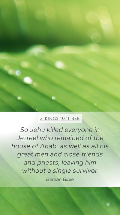 2 Kings 10:11 BSB Bible Verse Image