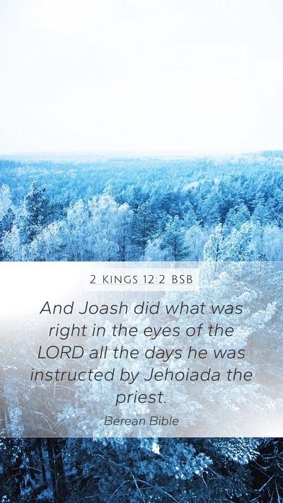 2 Kings 12:2 BSB Bible Verse Image