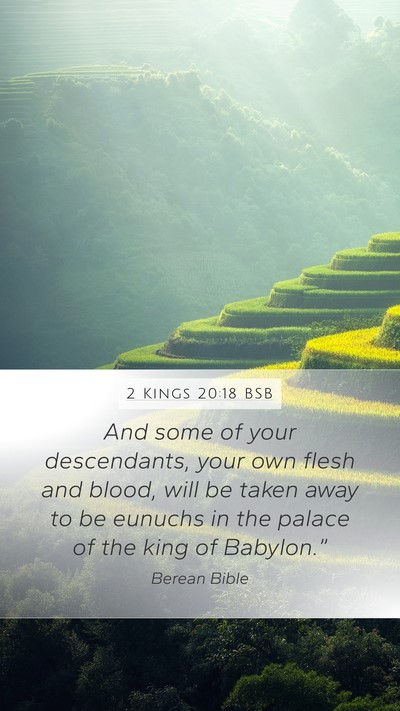 2 Kings 20:18 BSB Bible Verse Image