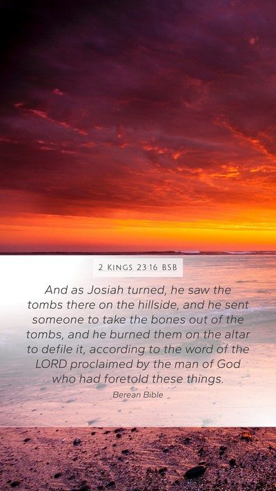 2 Kings 23:16 BSB Bible Verse Image
