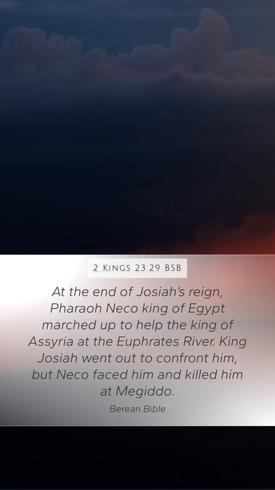 2 Kings 23:29 BSB Bible Verse Image