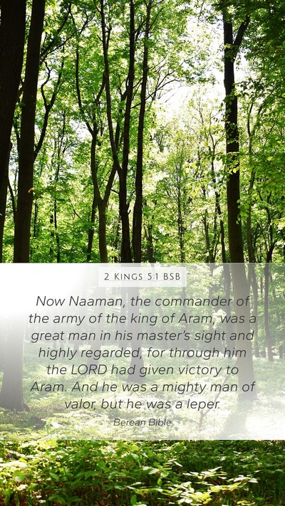 2 Kings 5:1 BSB Bible Verse Image