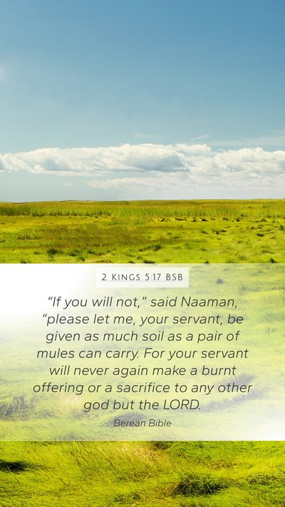 2 Kings 5:17 BSB Bible Verse Image