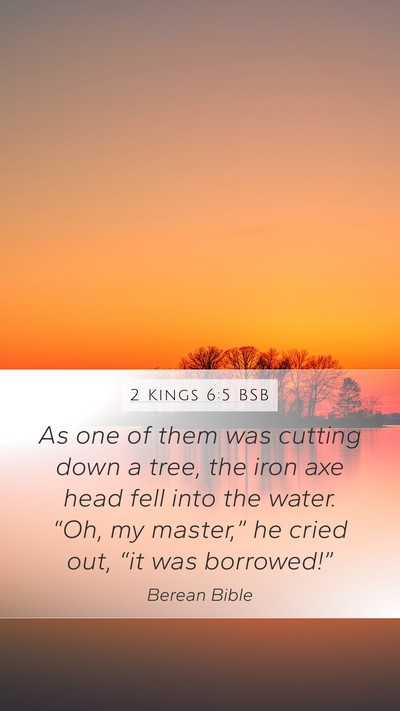 2 Kings 6:5 BSB Bible Verse Image