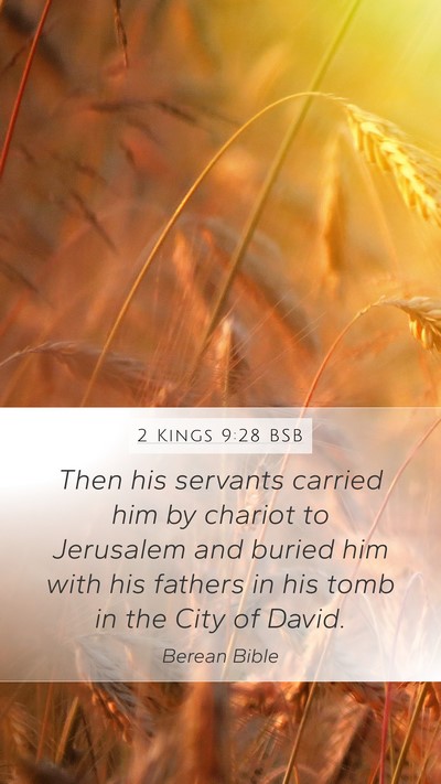 2 Kings 9:28 BSB Bible Verse Image