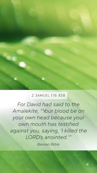 2 Samuel 1:16 BSB Bible Verse Image
