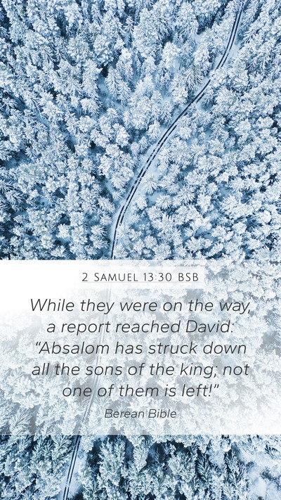 2 Samuel 13:30 BSB Bible Verse Image