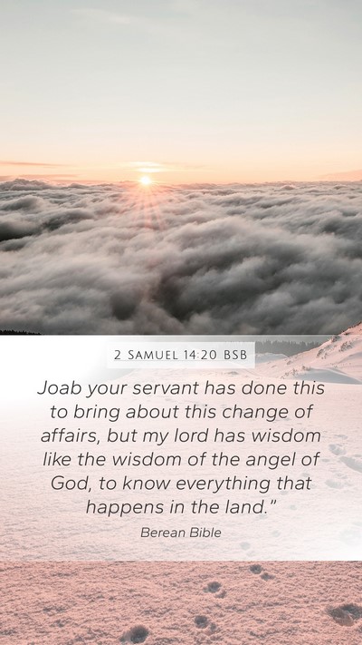 2 Samuel 14:20 BSB Bible Verse Image