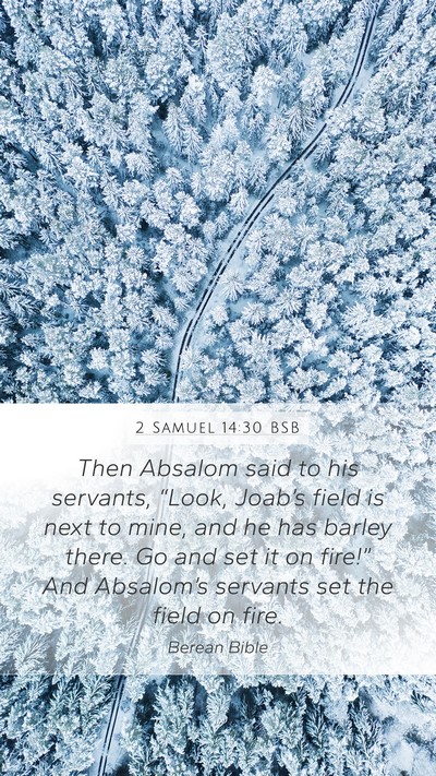 2 Samuel 14:30 BSB Bible Verse Image