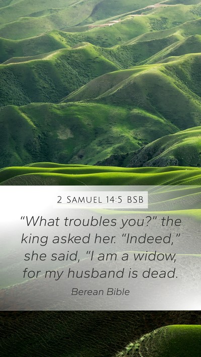 2 Samuel 14:5 BSB Bible Verse Image