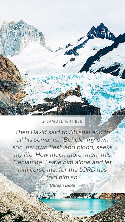 2 Samuel 16:11 BSB Bible Verse Image