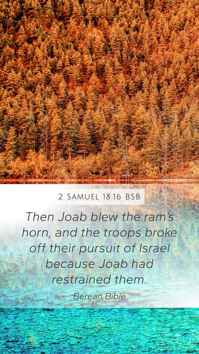 2 Samuel 18:16 BSB Bible Verse Image