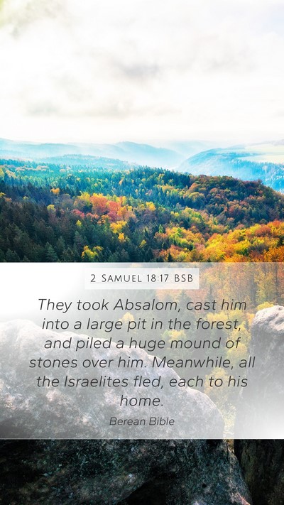 2 Samuel 18:17 BSB Bible Verse Image