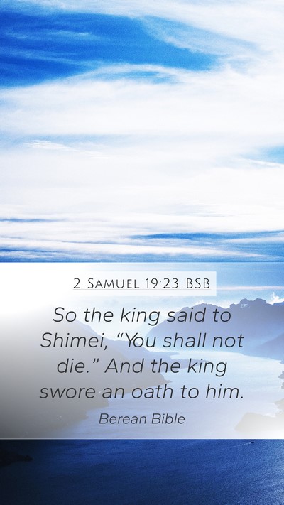 2 Samuel 19:23 BSB Mobile Phone Wallpaper - So the king said to Shimei, “You shall not - Mobile Bible Verse Wallpaper
