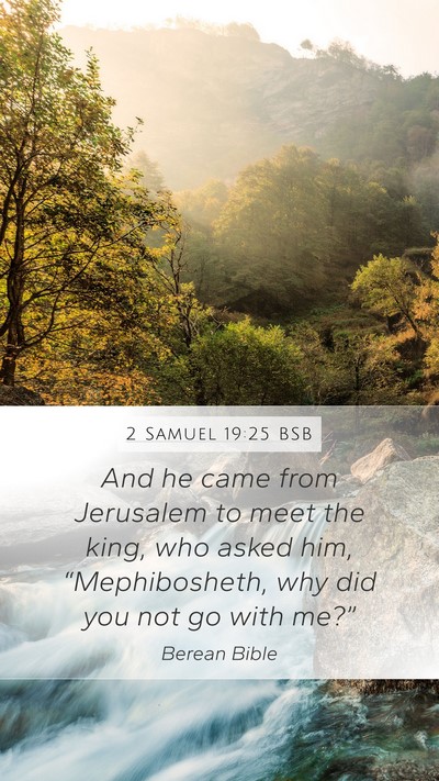 2 Samuel 19:25 BSB Bible Verse Image
