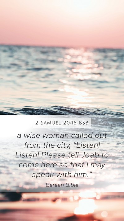 2 Samuel 20:16 BSB Bible Verse Image
