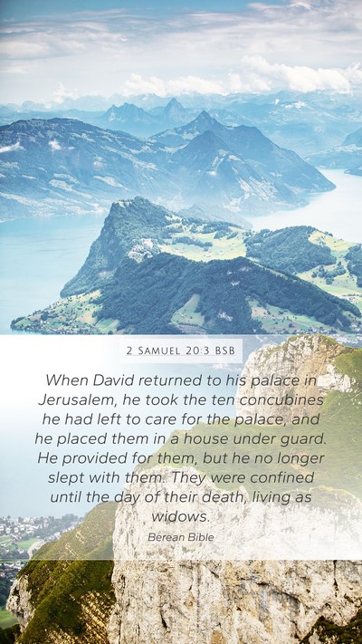 2 Samuel 20:3 BSB Bible Verse Image
