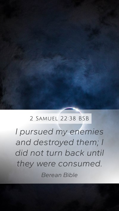 2 Samuel 22:38 BSB Mobile Phone Wallpaper - I pursued my enemies and destroyed them; I did - Mobile Bible Verse Wallpaper