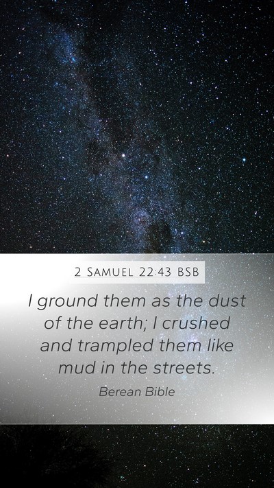 2 Samuel 22:43 BSB Bible Verse Image