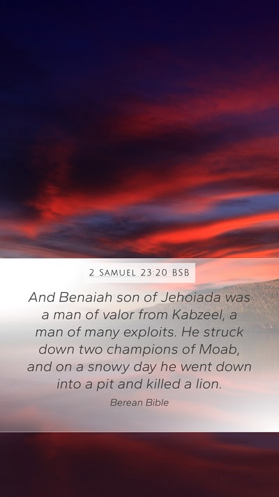 2 Samuel 23:20 BSB Bible Verse Image