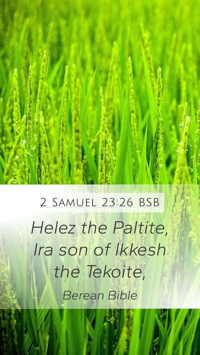 2 Samuel 23:26 BSB Mobile Phone Wallpaper - Helez the Paltite, Ira son of Ikkesh the - Mobile Bible Verse Wallpaper