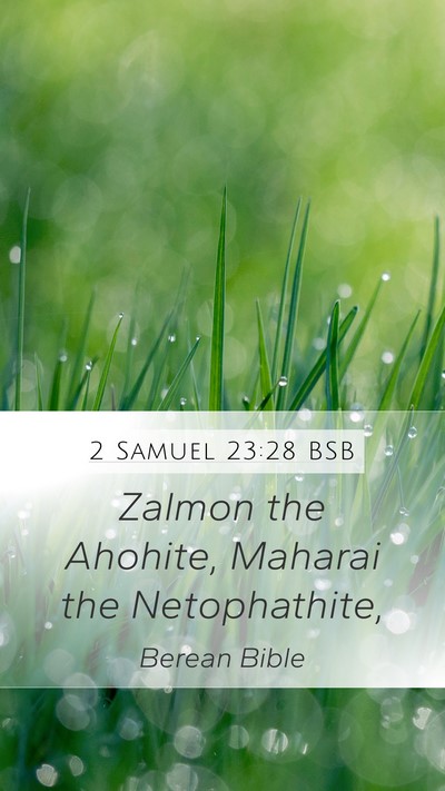 2 Samuel 23:28 BSB Bible Verse Image