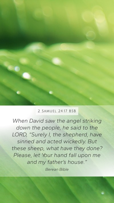 2 Samuel 24:17 BSB Bible Verse Image